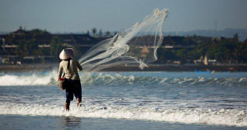 Freepik/alexeyzhilkin